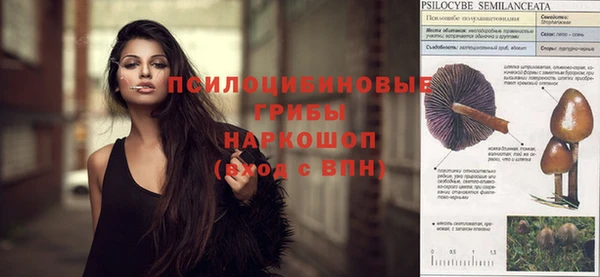 Альфа ПВП Новозыбков