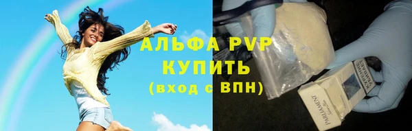 трава Аркадак