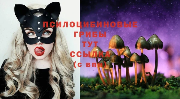 трава Аркадак