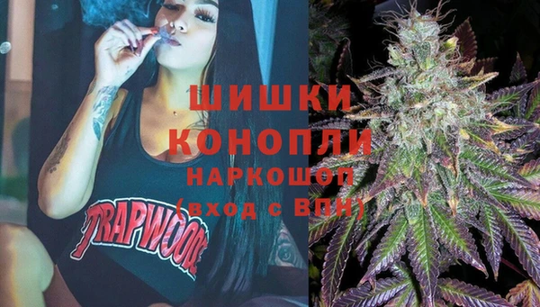 трава Аркадак